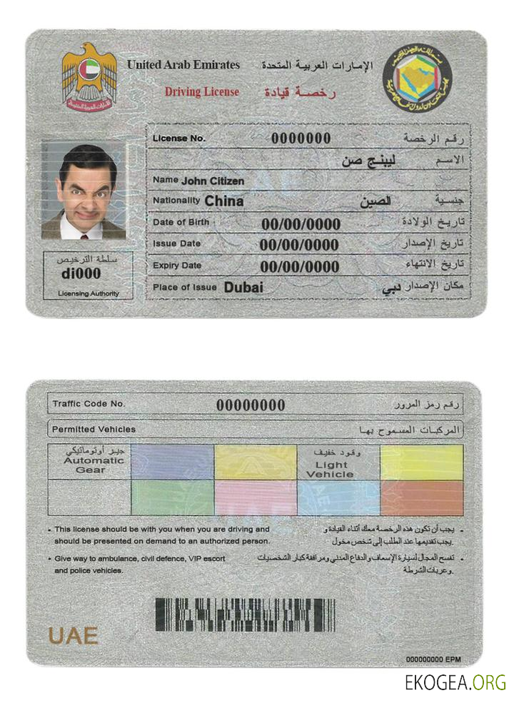 UAE (United Arab Emirates) driving license